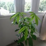 Cozy 2 Bedroom With Terrace Near The Beach And Park Varna