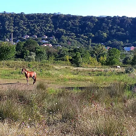 Apartamento Cozy 2 Bedroom With Terrace Near The Beach And Park Varna