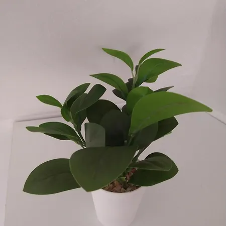 Cozy 2 Bedroom With Terrace Near The Beach And Park Apartament *