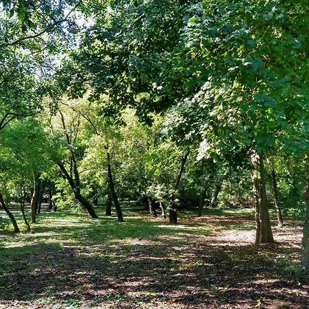 Cozy 2 Bedroom With Terrace Near The Beach And Park Apartament *