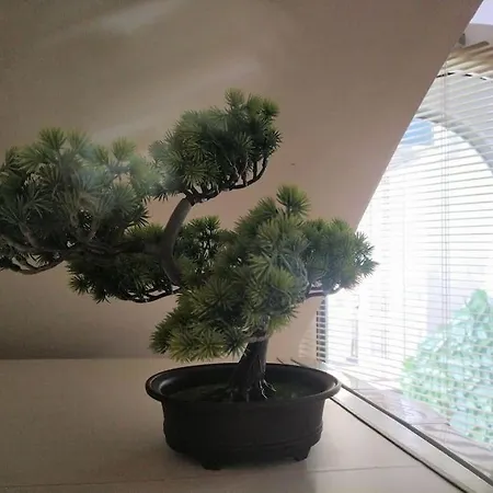 Apartament Cozy 2 Bedroom With Terrace Near The Beach And Park *