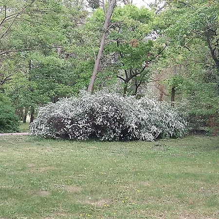 Cozy 2 Bedroom With Terrace Near The Beach And Park Varna