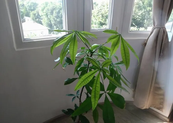 Cozy 2 Bedroom With Terrace Near The Beach And Park Warna